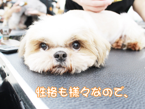 １年生、今日もがんばっています！